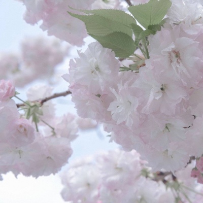 安远FurryQQ群介绍